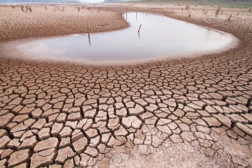 %water brand - %ووتر براند